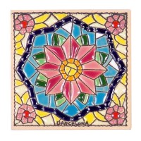 Imanes Ref. CA-785-010